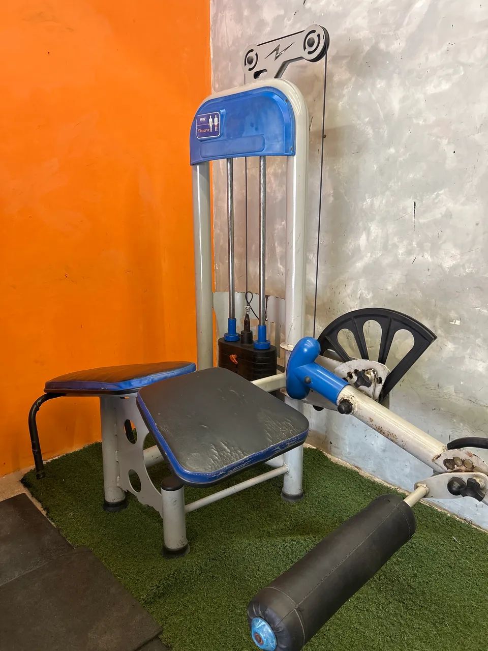 Flexora deitada musculação 