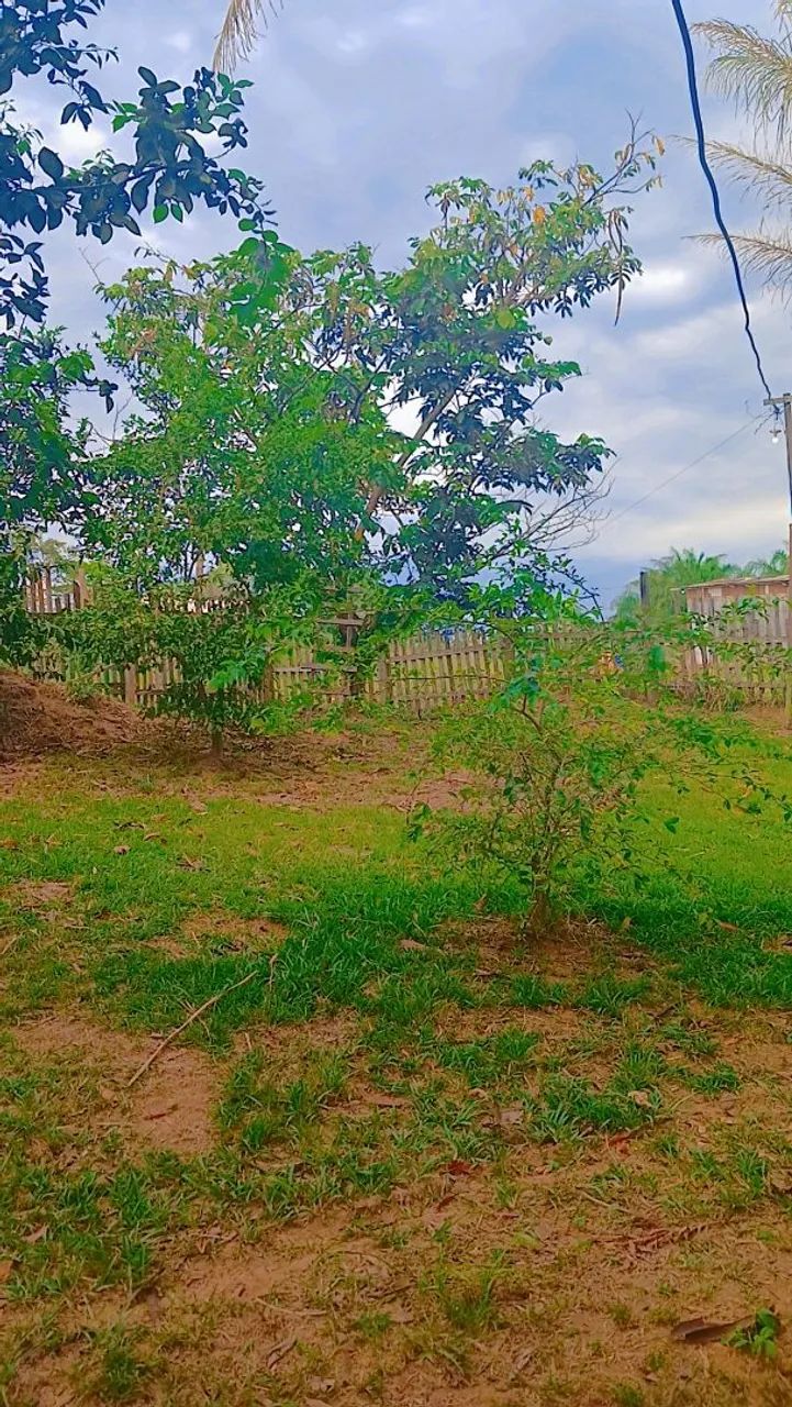 Vende-Chacara  - Foto 4