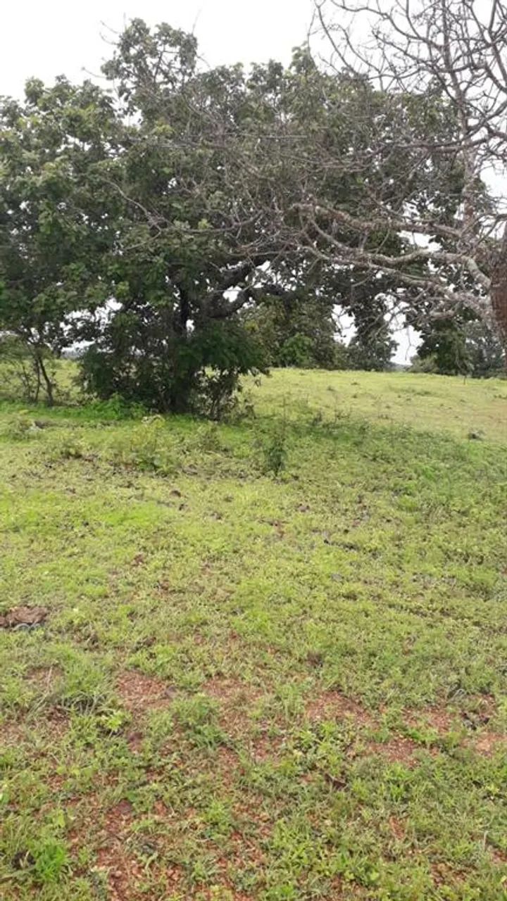 Fazenda - Chácara 4 quartos - Foto 4