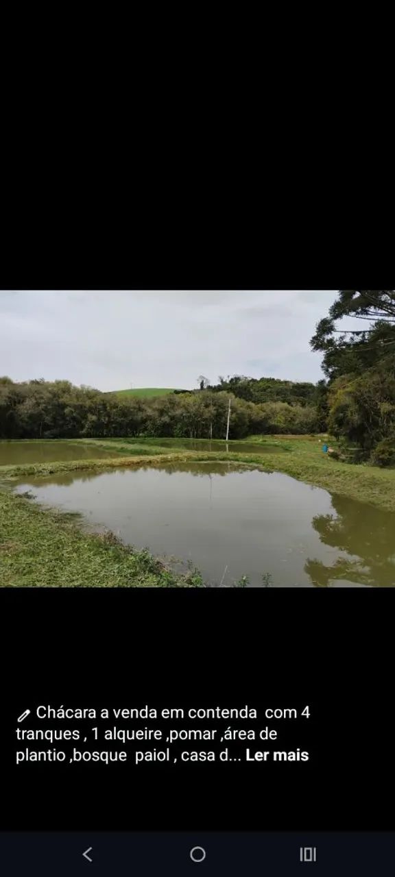 Chácara em contenda .próximo Araucaria  - Foto 3