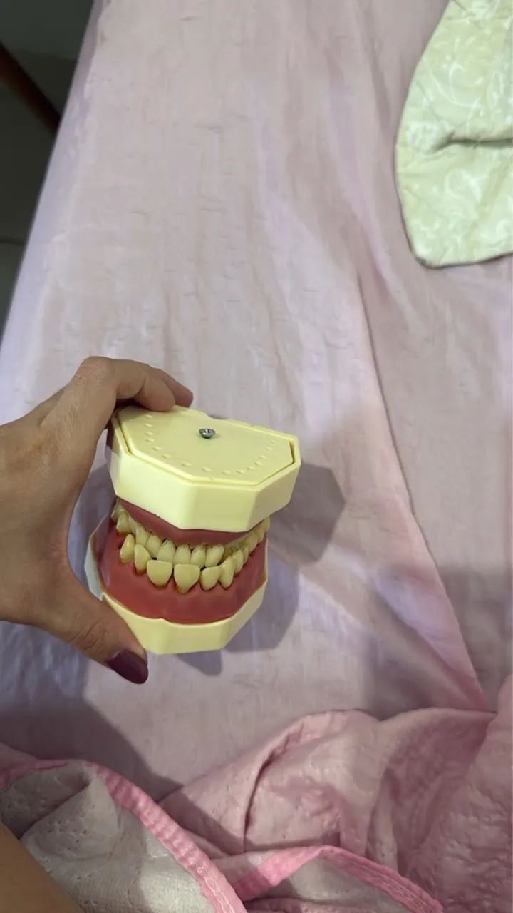 Manequim Odontológico 