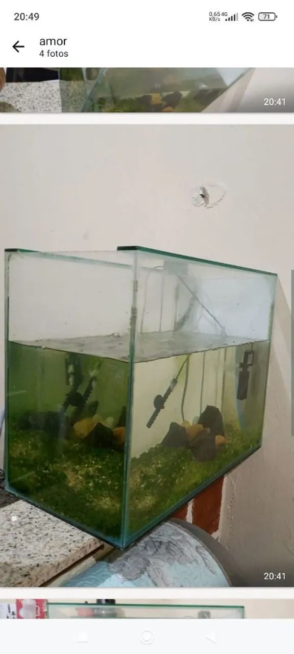 Selling this aquarium