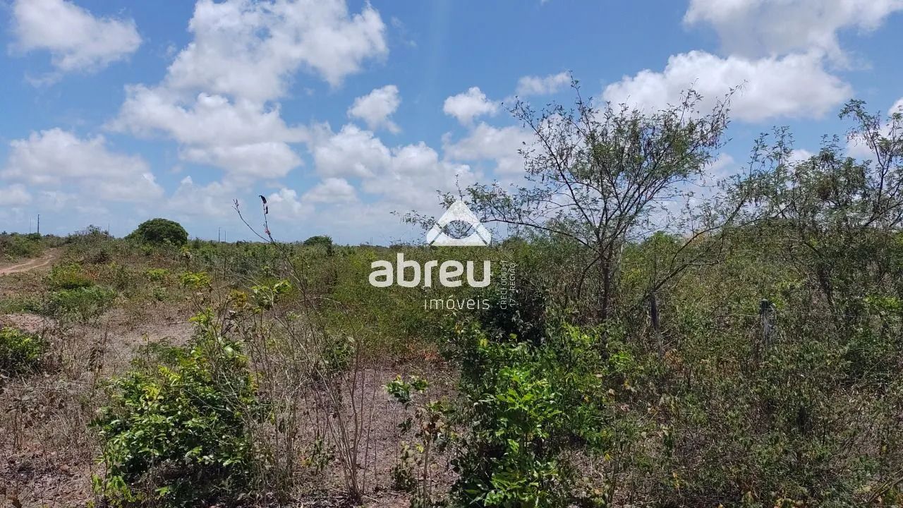 Sem Tipo Terreno em São Gonçalo do Amarante - Foto 5