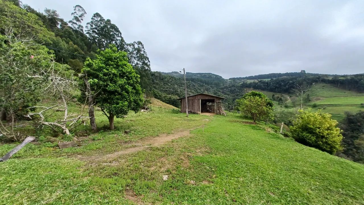 Fazenda/Sítio/Chácara para venda com 150000 metros quadrados com 2 quartos - Foto 3