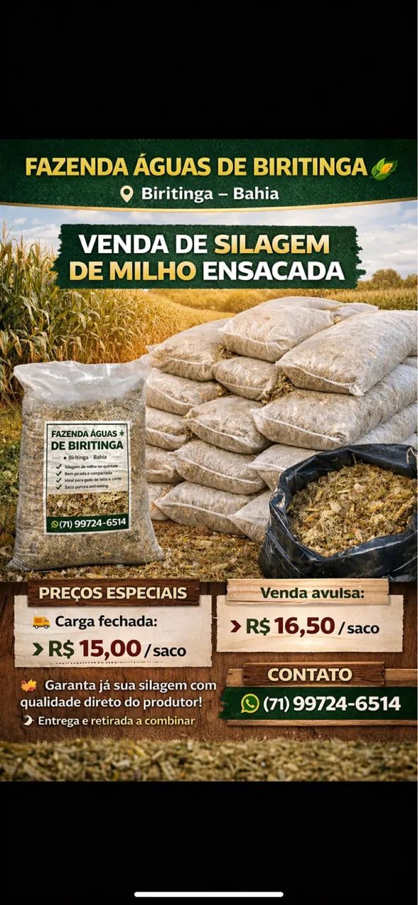 Silagem de Milho - 100% dos Grãos - saco 25kg