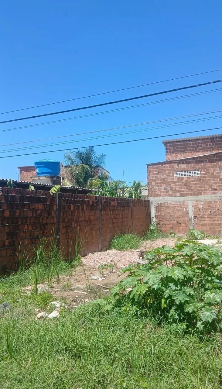 Vendo Terreno em Barra de jangada  - Foto 2