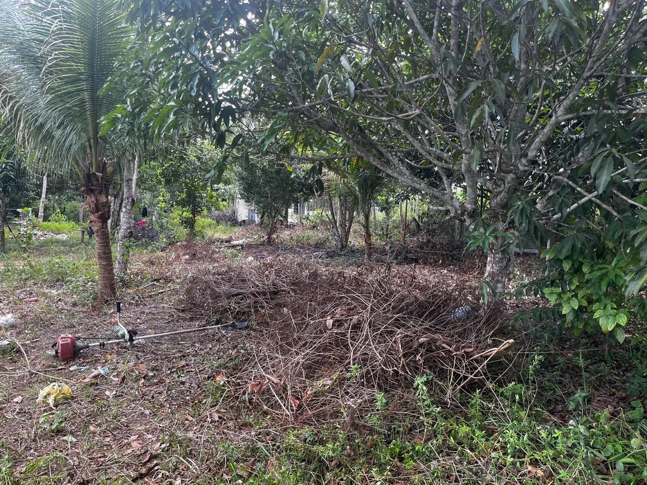 Vendo terreno 10x50  - Foto 3