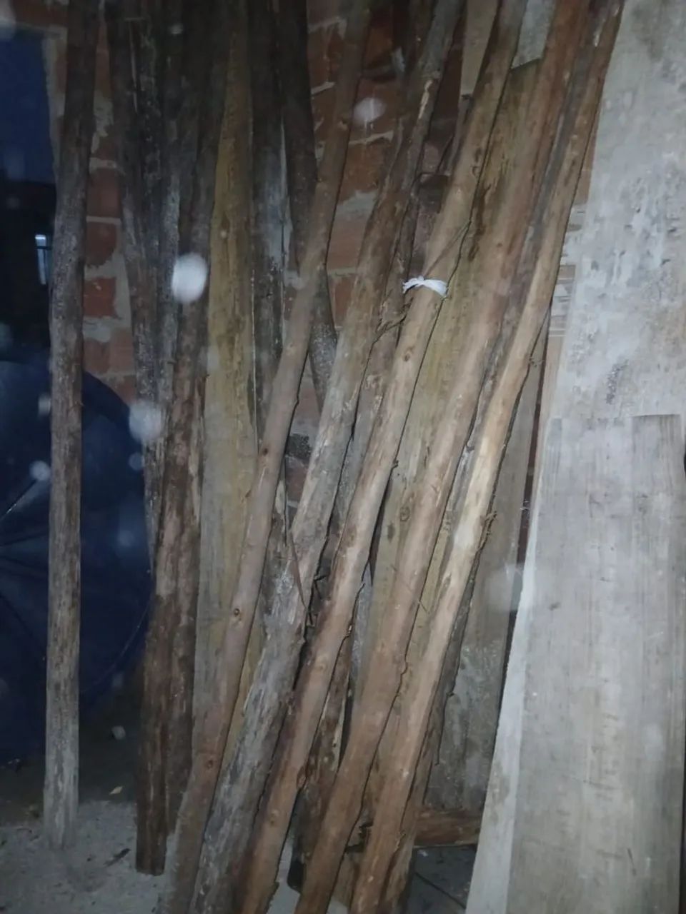 Escoras de eucalipto  - Foto 2
