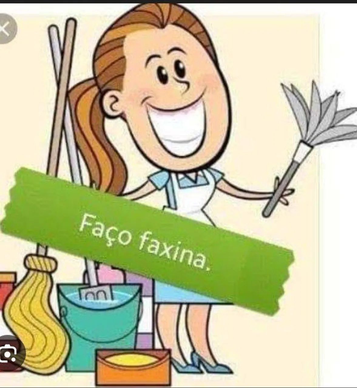 Faxina