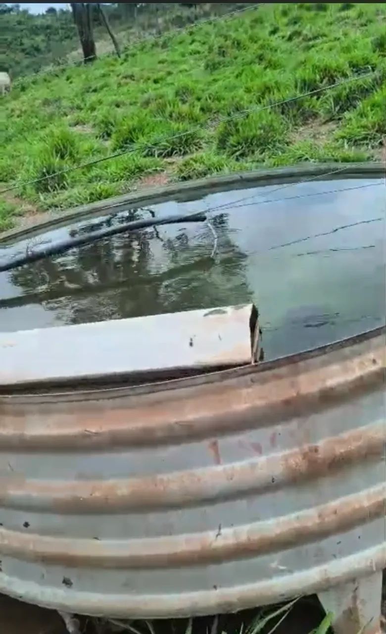 SÍTIO PASTO FORMADO  E CERCADO - Foto 4