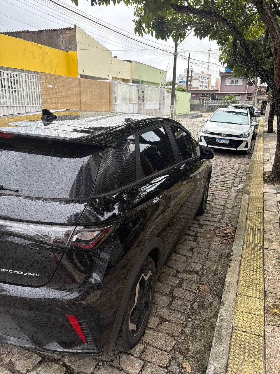 BYD Dolphin EV (Elétrico) 2025 - Foto 4