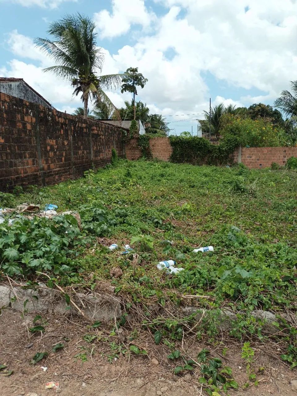 Terreno venda  - Foto 2