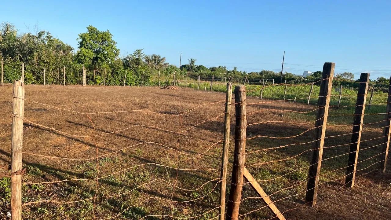 Terreno Loteamento Nova Canaã  - Foto 4