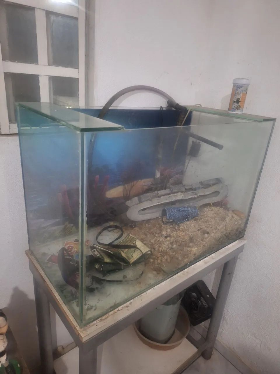 Agurio  - Foto 4