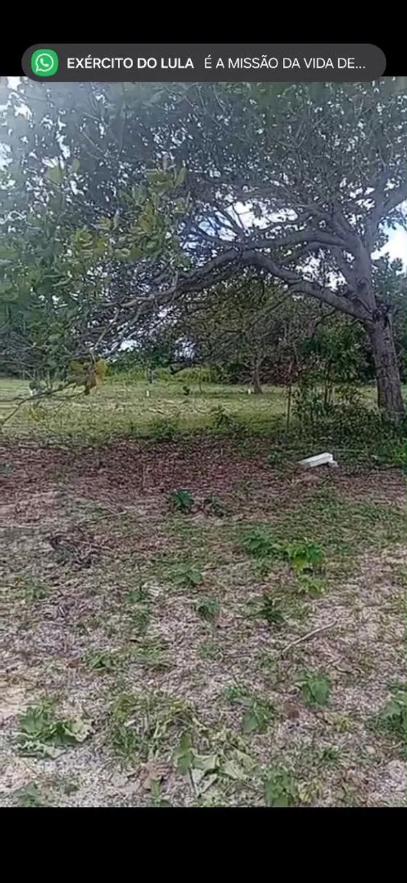 Terreno, lote, horizonte - Foto 2