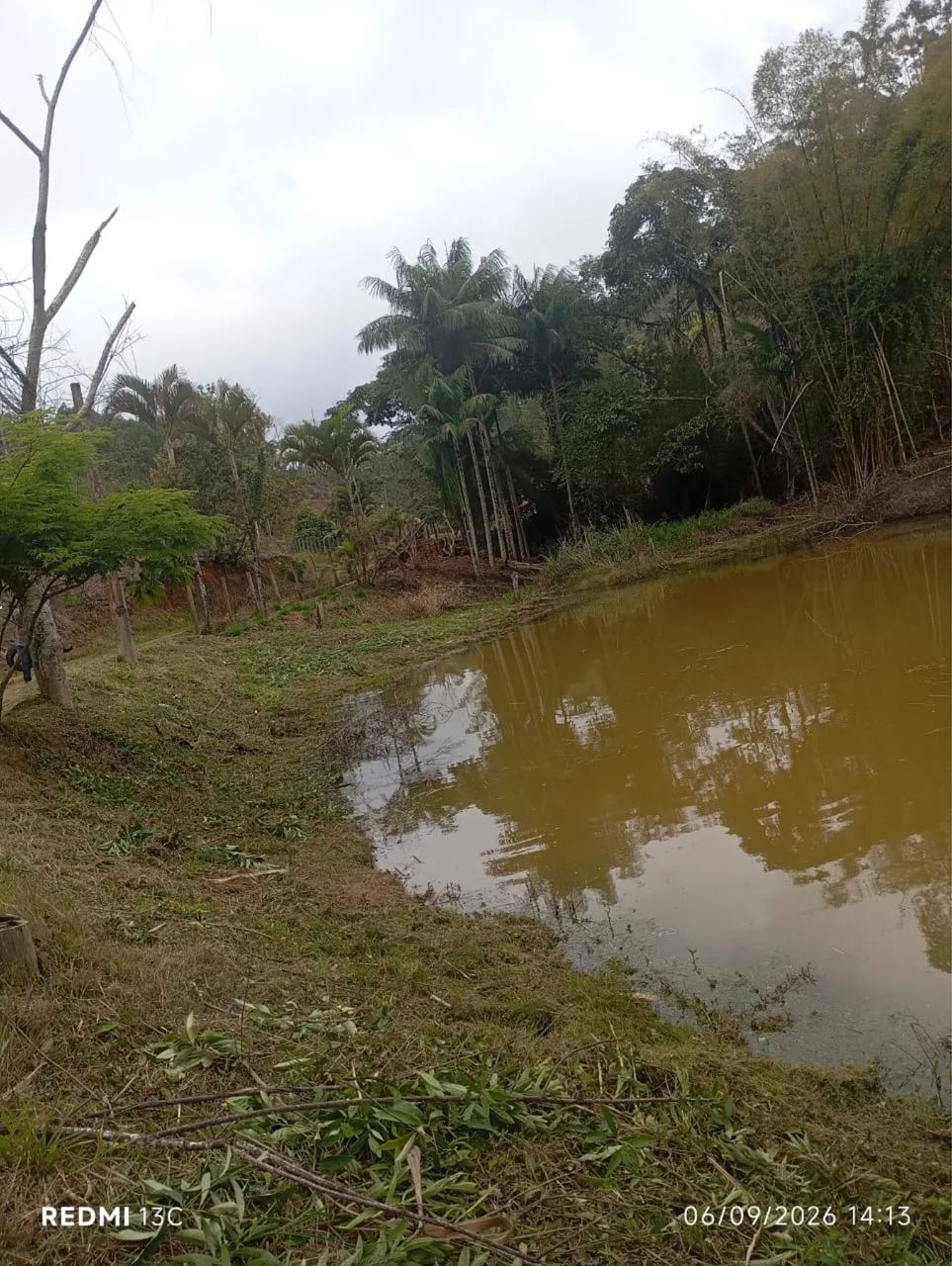 Chácara 3.000m² com Lago em Santa Teresa - 8 km do Centro - Foto 2