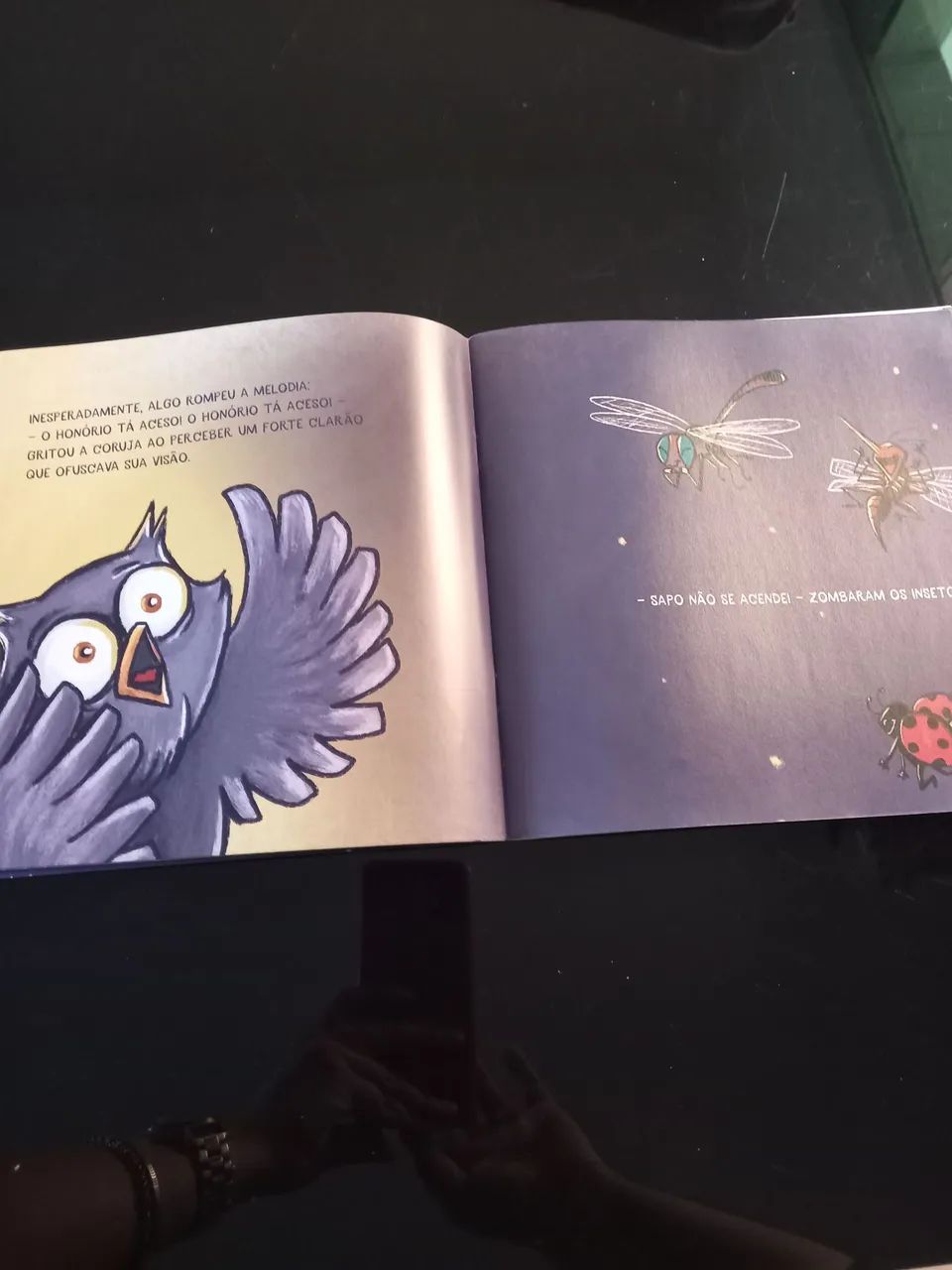 Livro Honório - Aletria - Foto 4