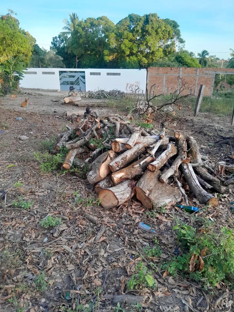 Terreno  - Foto 2