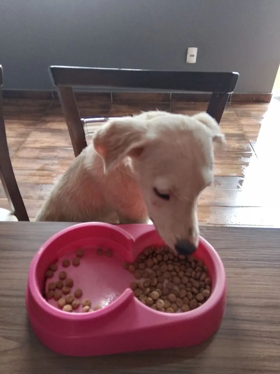 Doação dos lindo  - Foto 2