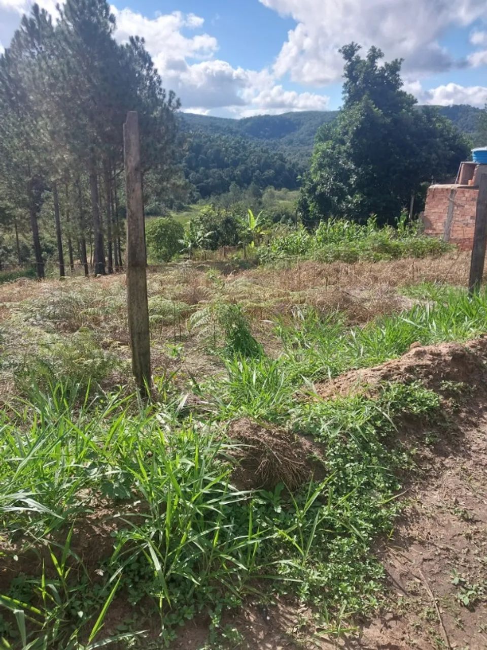 Otimo terreno de 4.500m2 em Bofete - Foto 3