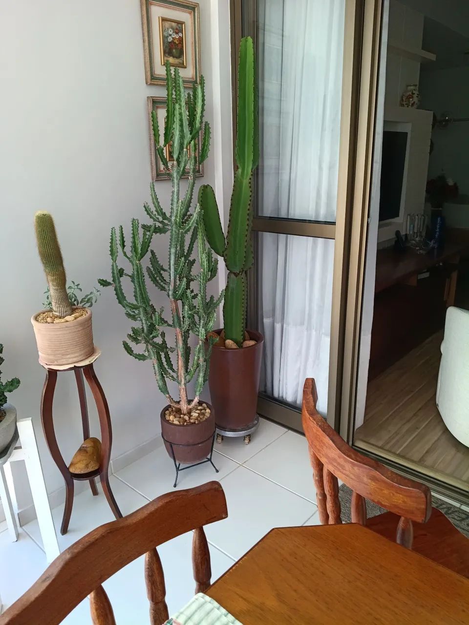 Planta  - Foto 5
