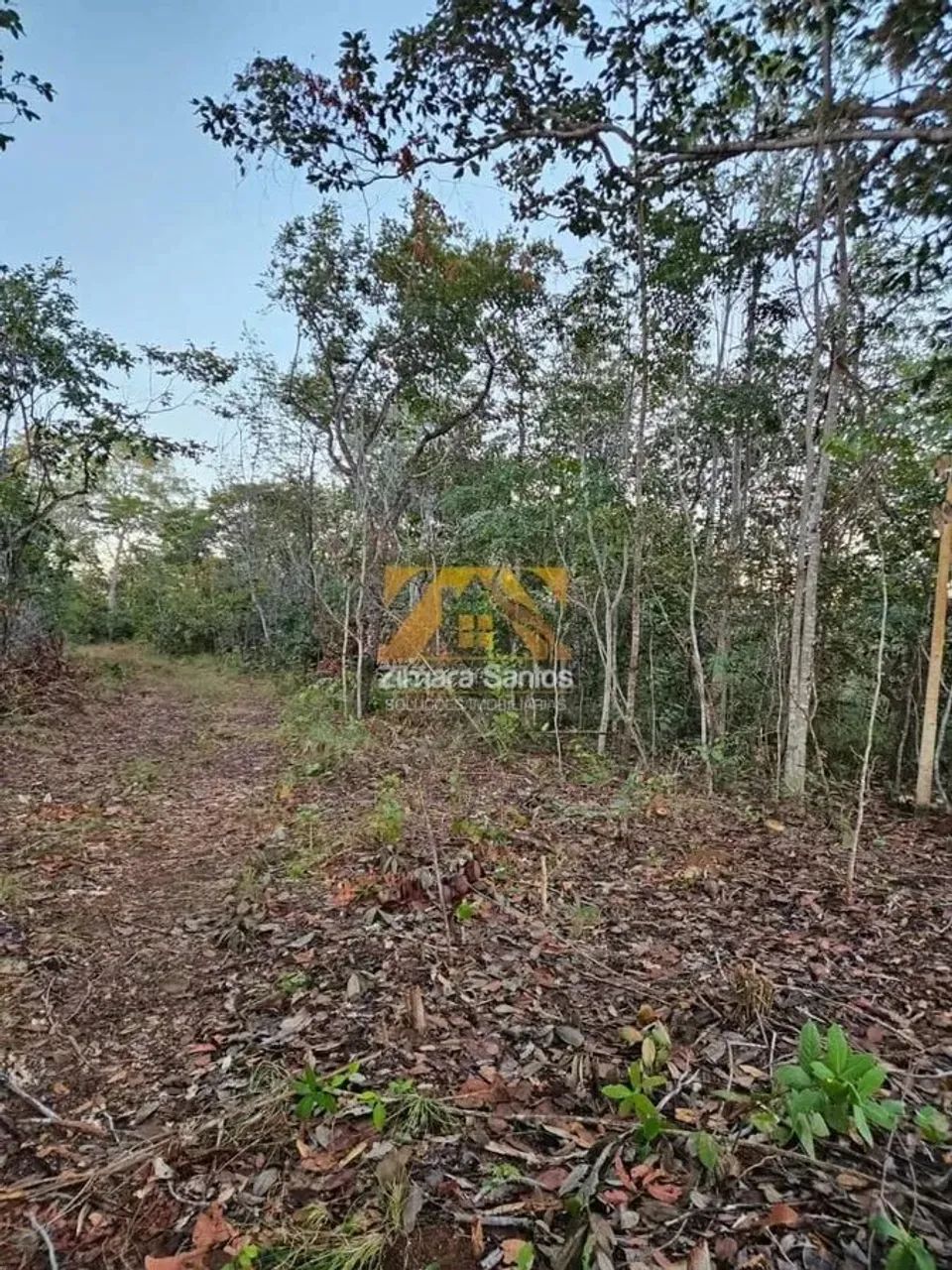 Chácara 2,5 Alqueires - Zona Rural - Próxima a Palmas - Porto Nacional/TO - Foto 3