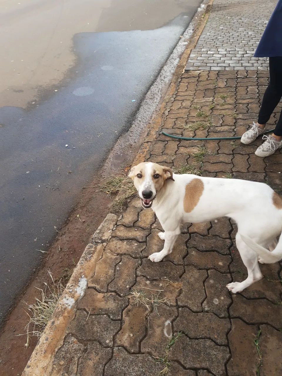 DOAÇÃO  - Foto 2