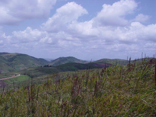 Fazenda com 80 hectares em Amaraji/Pe - REF. 286 - Foto 10