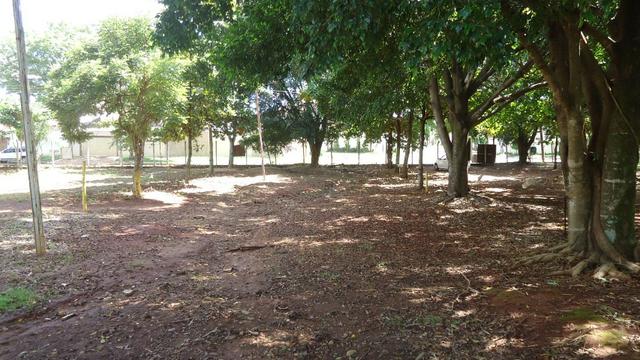 Área no Setor Jaó - Foto 5