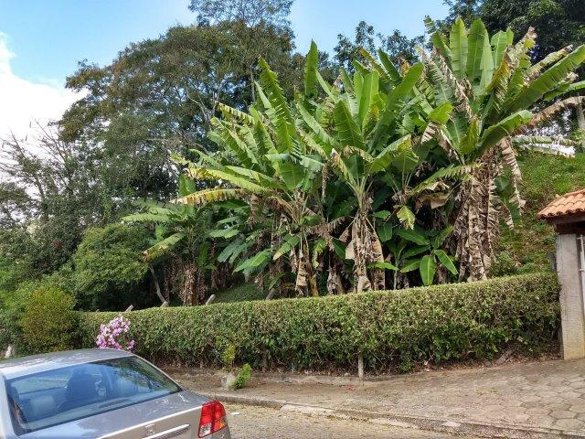 Excelente terreno no centro de Teresópolis - Foto 8