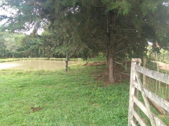 Chácara de 1 Alqueire . 4 km do Jordão - Guarapuava PR - Foto 3