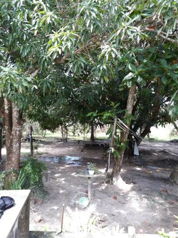 Sitio na Piçarreira - Vendo - Foto 4