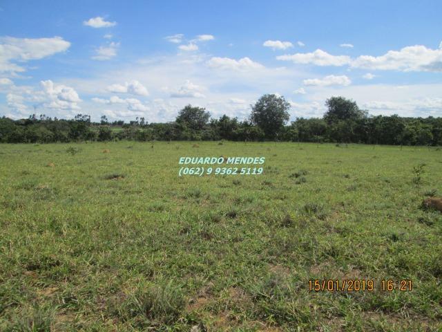 Terra c/ um alqueire sem benfeitorias, 600 metros da BR 060 Abadiânia, expansão Urbana - Foto 15