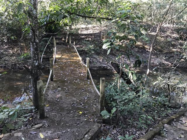 Chácara 7 hectares á venda Rio dos Peixes - Foto 13