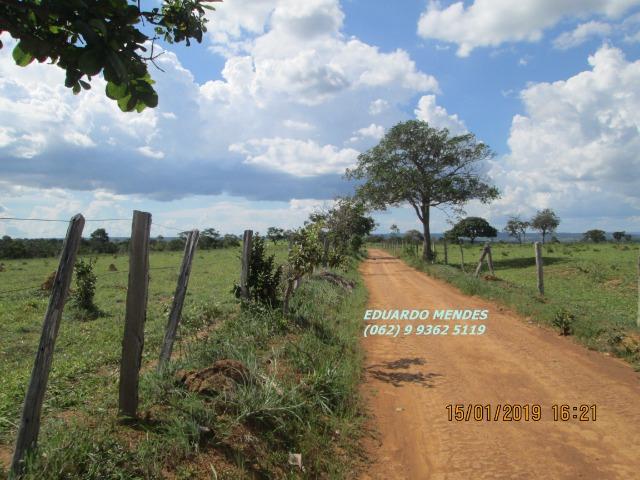 Terra c/ um alqueire sem benfeitorias, 600 metros da BR 060 Abadiânia, expansão Urbana - Foto 13