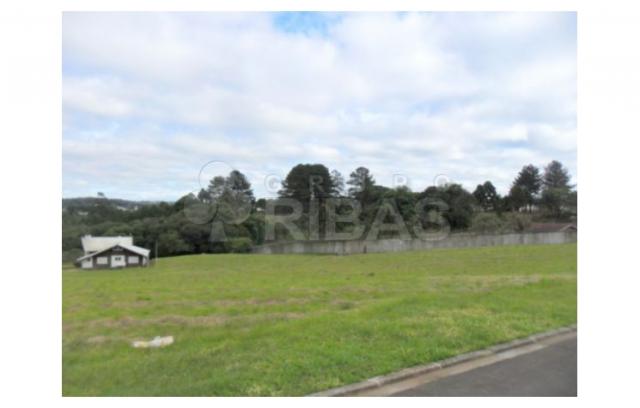 Terreno residencial à venda, vila torres i, campo largo - te0117. - Foto 12
