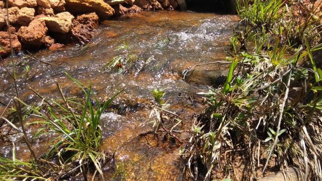 Vendo - Chácara em Alto Peçanha - Região da Pedra Azul - Domingos Martins - Foto 3