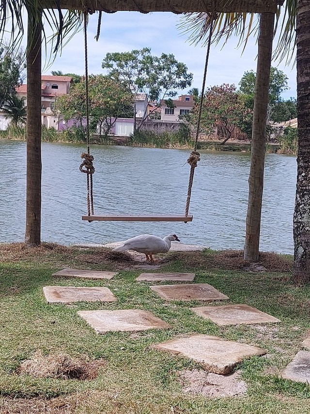 Casa para FDS e Festas e temporada - Foto 12