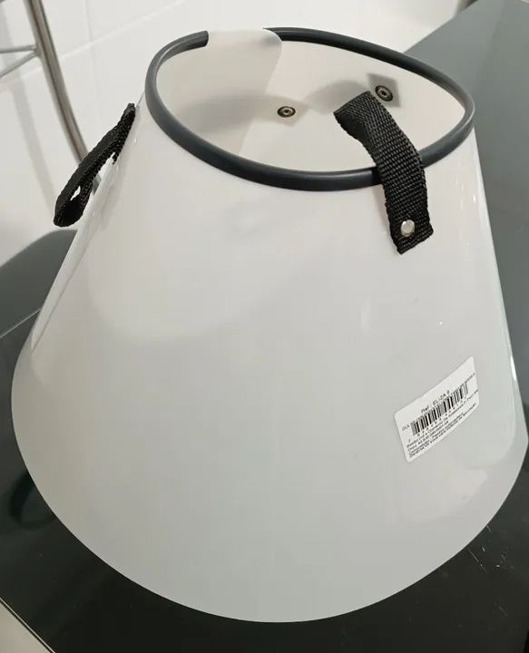 Colar elizabetano tamanho 6