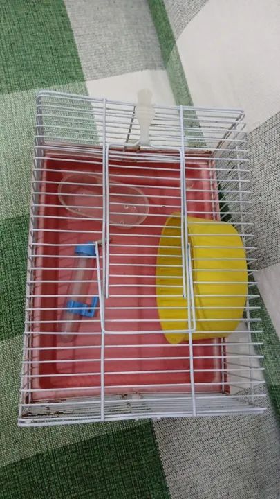 Gaiola de Hamister - Foto 6