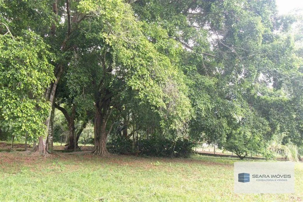 Sítio na Zona Rural de Buenos Aires, Guarapari - Foto 4