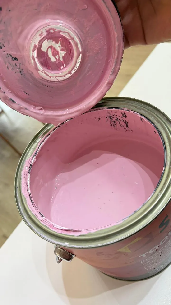 Tinta Rosa para Decoração - Begônia - Rosa