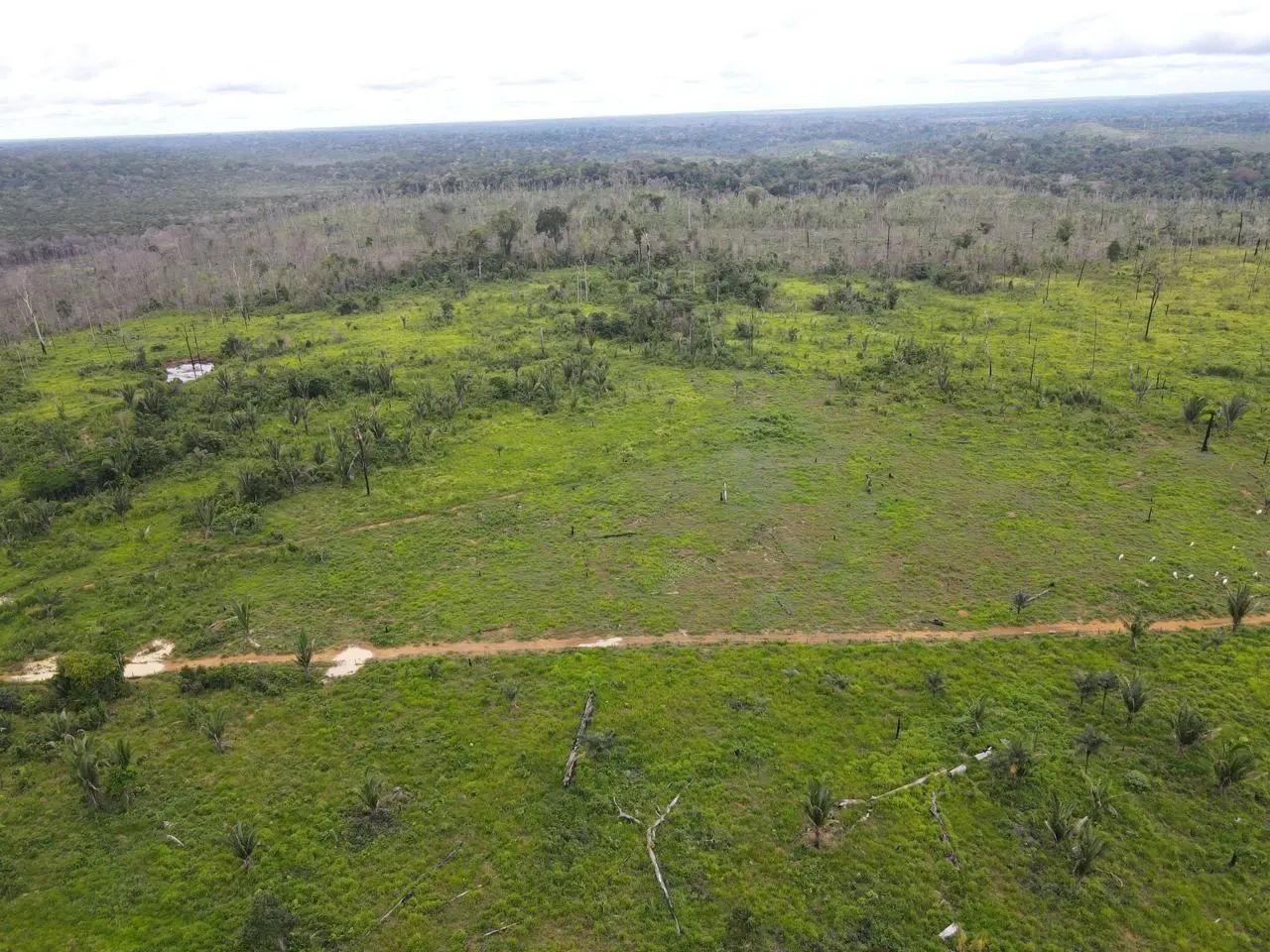 320 alqueires com 200 alqueires abertos em pasto no Apui Amazonas - Foto 5