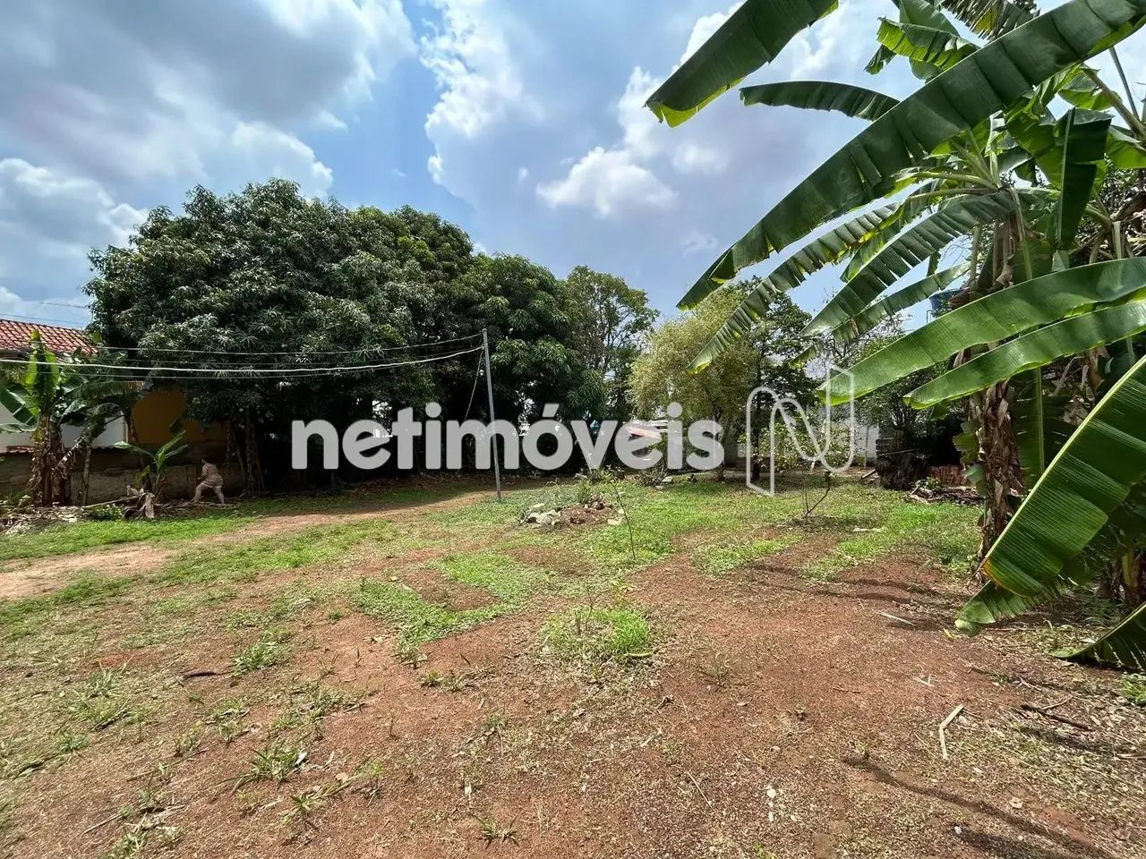 Venda Lote-Área-Terreno Santa Amélia Belo Horizonte - Foto 3