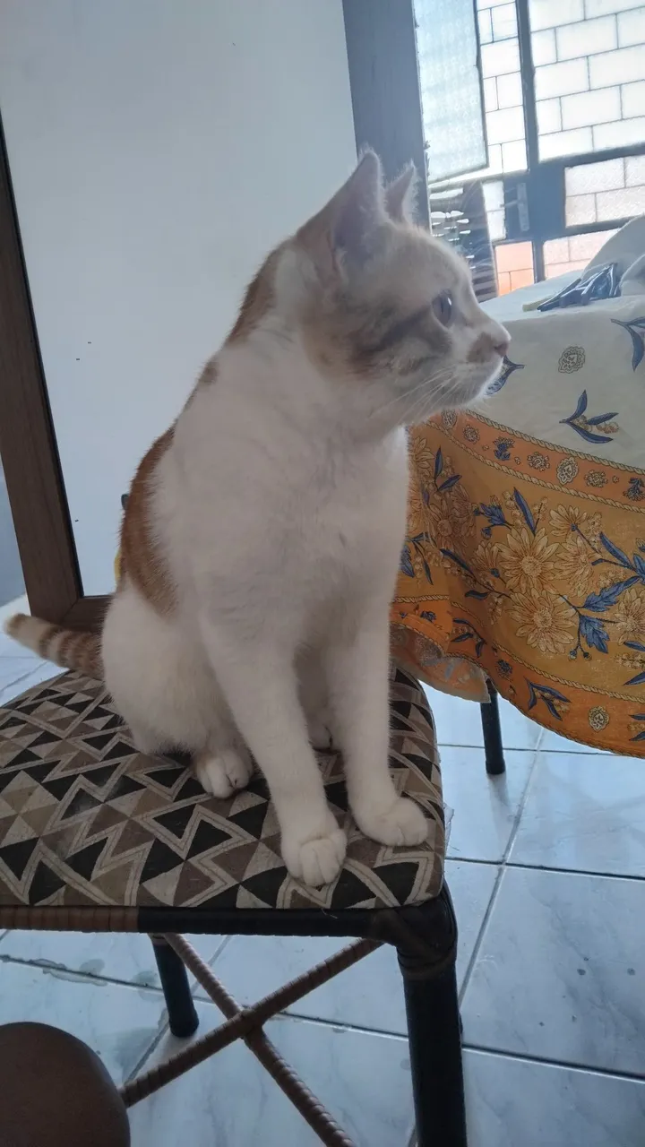 Doação