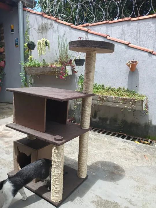 Torre de arranhador para gatos