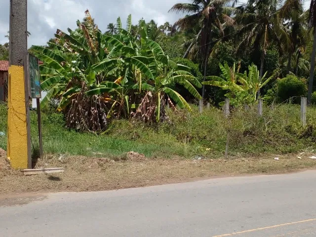 Terreno proximo Milagres