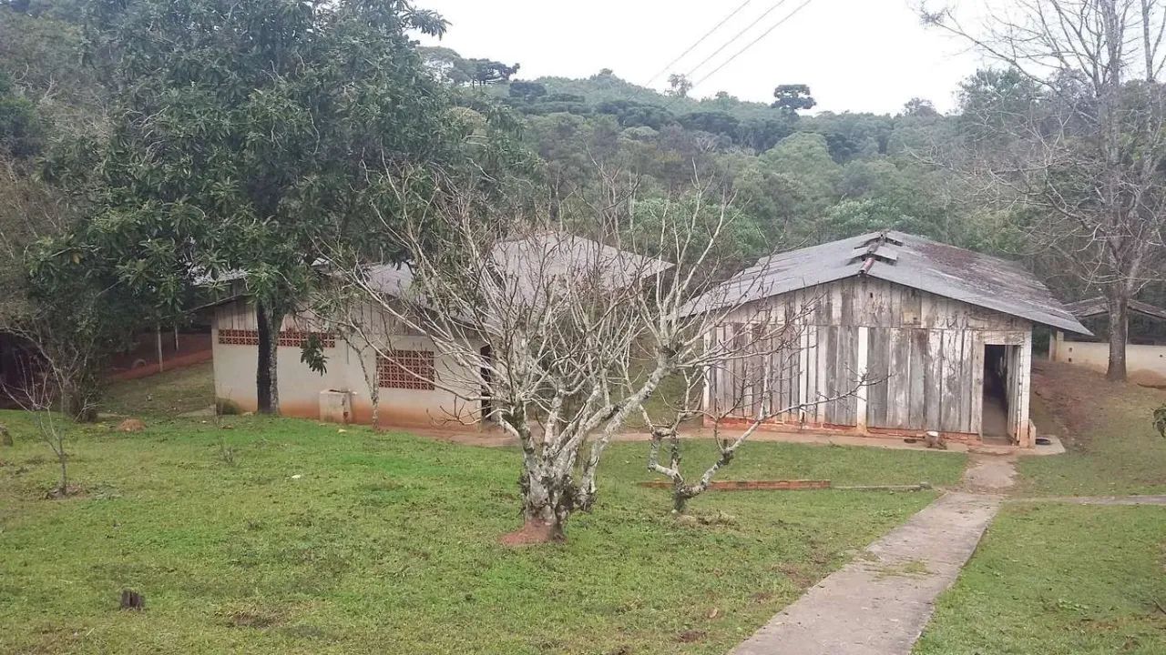Chácara em Rua Boi Carreiro - Itaqui de Cima - Campo Largo/PR - Foto 8