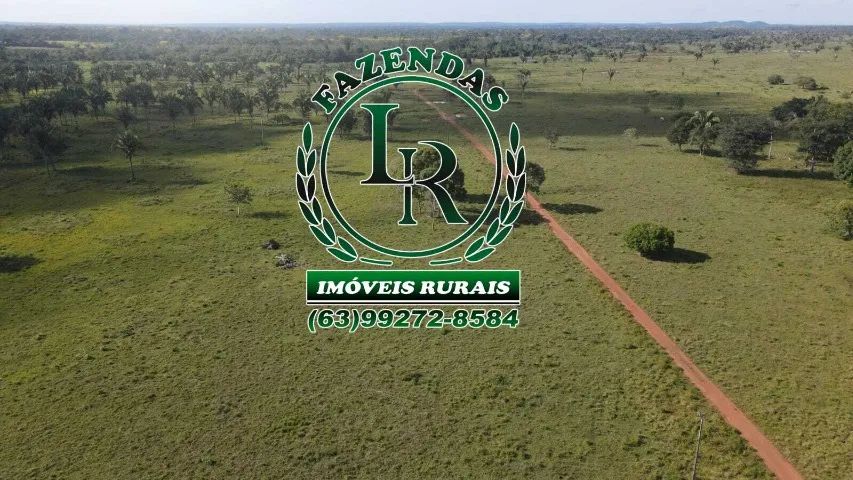 Fazenda 39 Alqueires Tocantins Região Araguaina