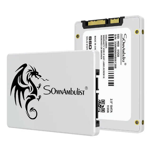 Ssd 256 Gb Somnambulist